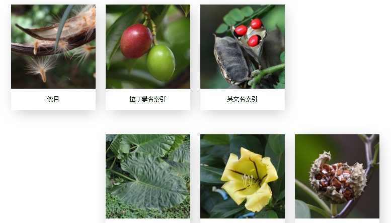 香港有毒植物圖鑑 - 臨床毒理學透視