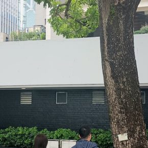 吊瓜樹 Kigelia africana (Lam.) Benth_01b (吊瓜樹 Kigelia africana)