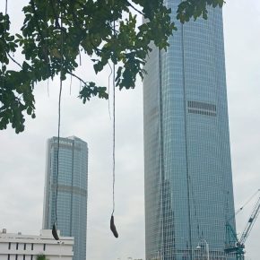 吊瓜樹 Kigelia africana (Lam.) Benth_06b (吊瓜樹 Kigelia africana)